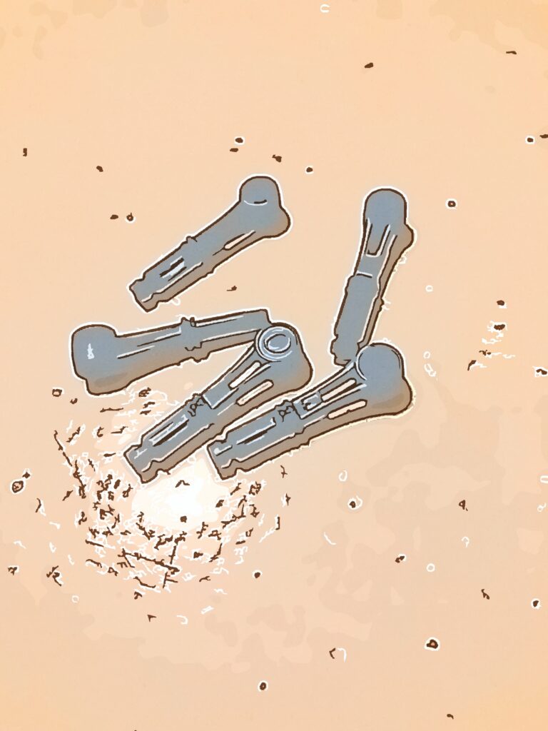lancets / lancettes